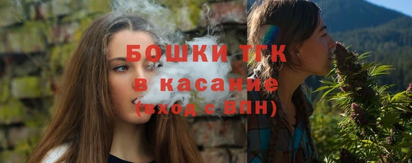 соль ск Козельск