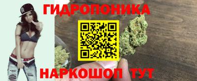 СК Заволжье