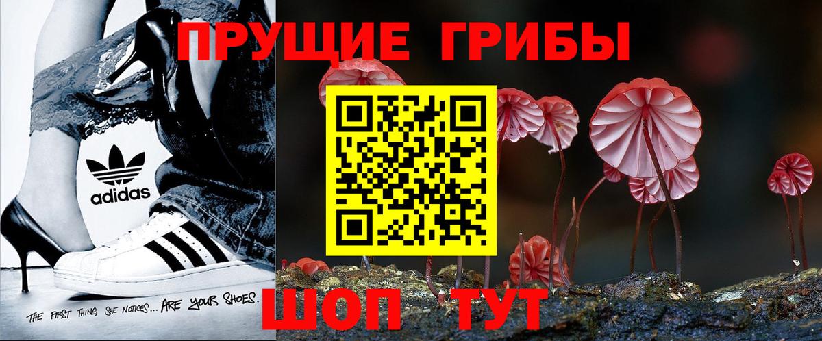 купить наркоту  Вход с VPN  Новотроицк  Псилоцибиновые грибы прущие грибы 